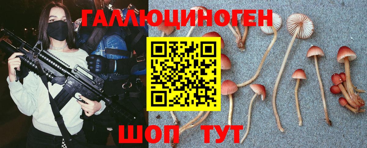 Галлюциногенные грибы Psilocybine cubensis Россия