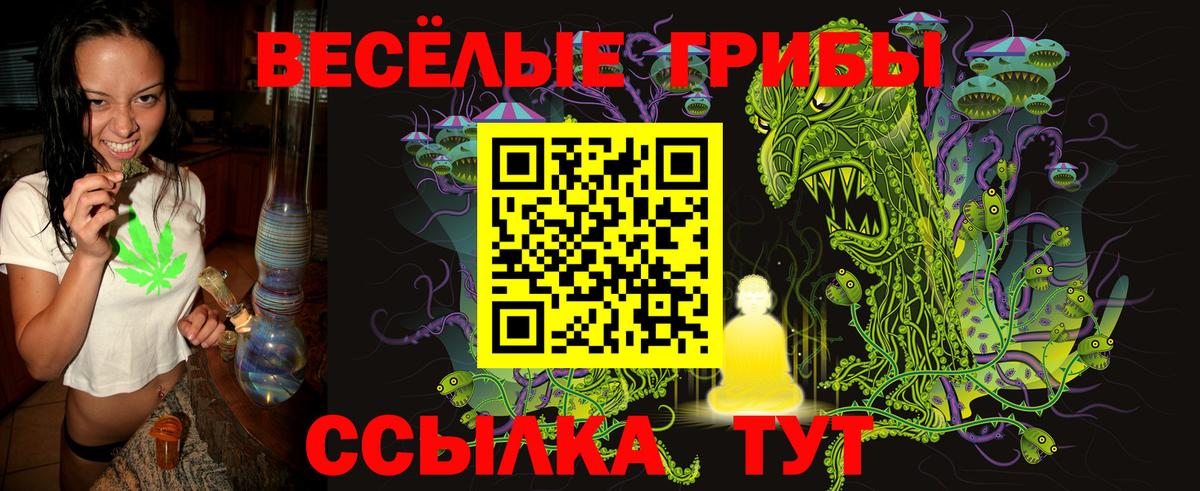 Россия  Галлюциногенные грибы ЛСД  Вход с VPN 