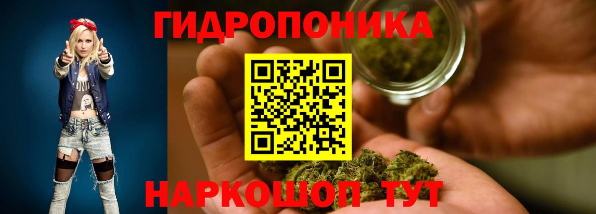 Бошки Шишки MAZAR  Вход с VPN  Бошки Шишки индика  Каннабис Amnesia  Россия 